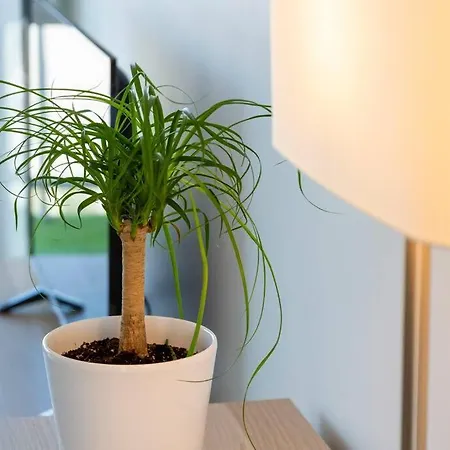 Bord De Plage.magnifique Face Mer. Apartamento