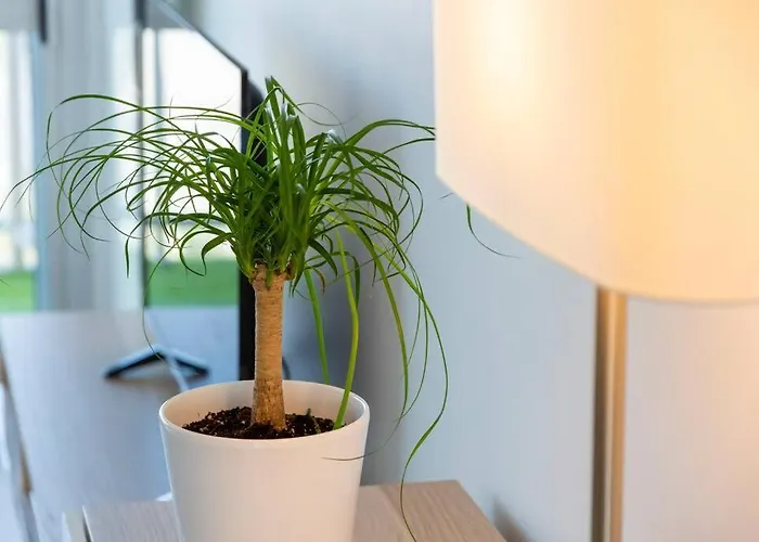 Bord De Plage.magnifique Face Mer. Appartement